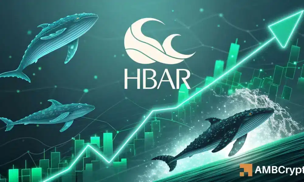 Hedera 上涨 15% – 为什么这个区间可能成为 HBAR 的下一个挑战？