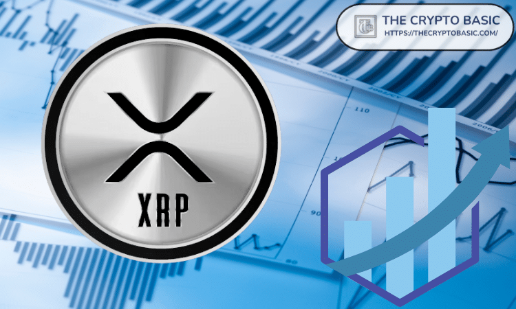 XRP 如何从最初的 5,000 美元上涨到 500 万美元